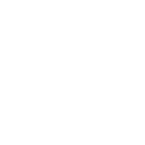 Robert L. Goldstein